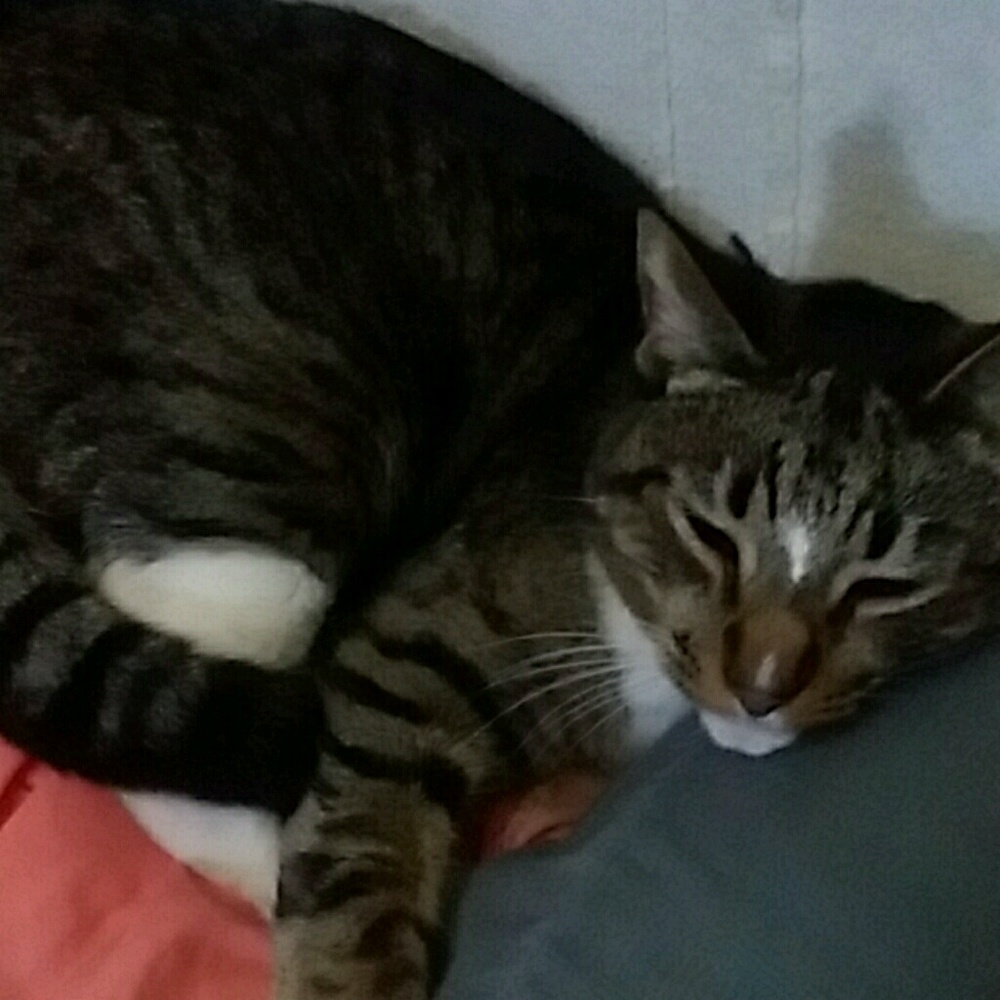 Meet your Posher, Ryan